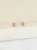 01-04-2026_86.webp