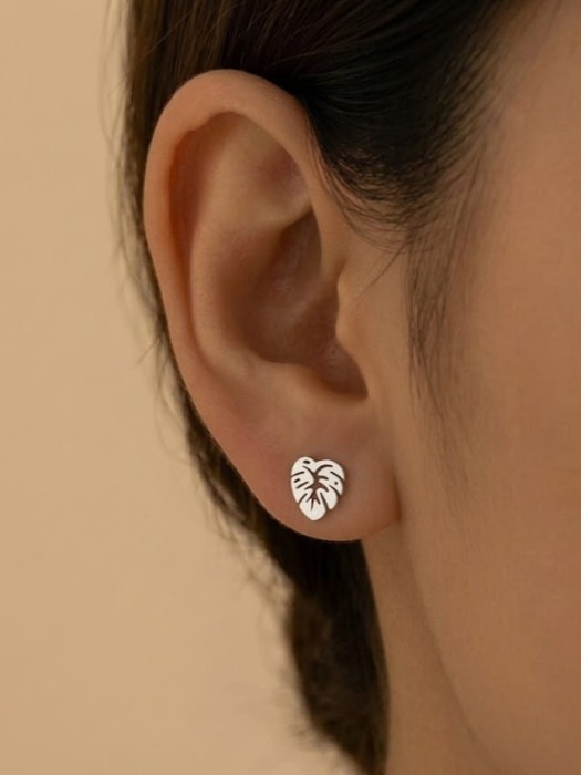 Kolczyki Wkrętki Monstera – Stal Szlachetna