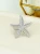 12-06-2026.1_23.webp