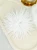 12-06-2026.2_3.webp